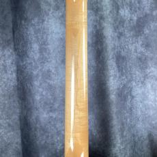 Fender Acoustic Elvis Kingman_7