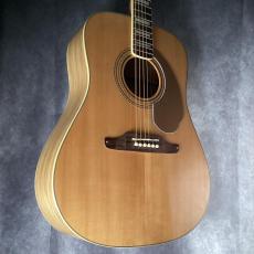 Fender Acoustic Elvis Kingman_9
