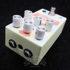 WALRUS AUDIO AGES SANTA FE_2