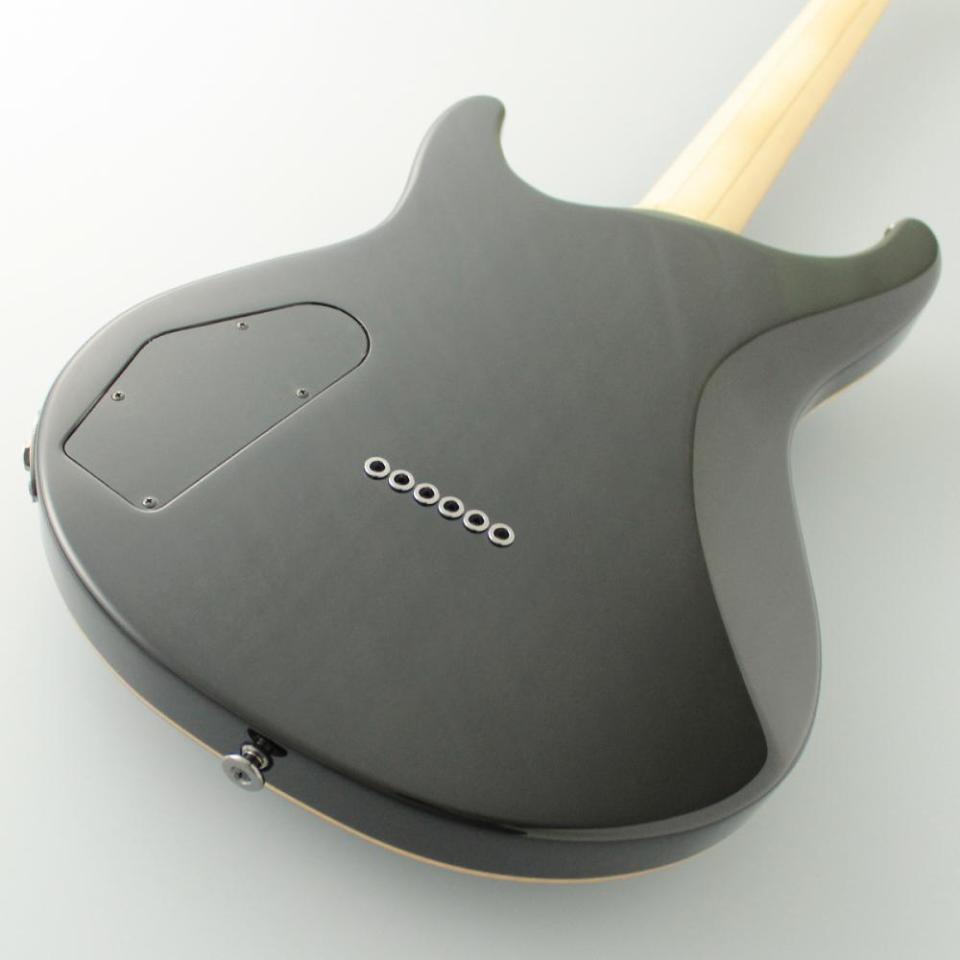 FUJIGEN Expert ELAN EEL-FM/TKS (Transparent Black Sunburst