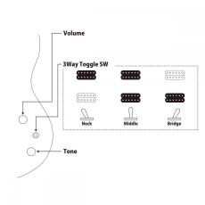FUJIGEN Expert ELAN EEL-FM/TKS (Transparent Black Sunburst)【オンラインストア限定】_8