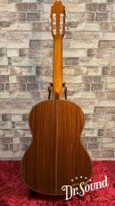 Juan Hernandez [ホアン・エルナンデス] Model:Sonata杉/64_4