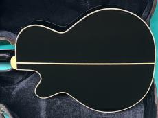 Takamine TDP561C BL_3