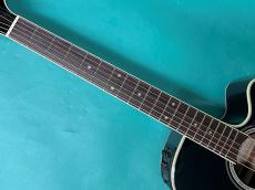 Takamine TDP561C BL_7