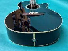 Takamine TDP561C BL_10