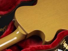 Gibson Les Paul Junior ~TV Yellow~【選定品!】_9