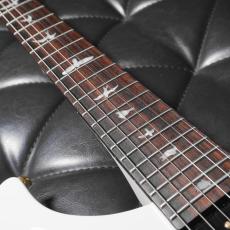 Paul Reed Smith [PRS] SE Dave Navarro Jet White_6
