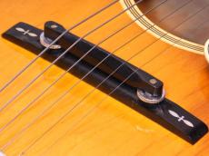 Gibson Howard Roberts Custom '74_8