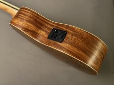 ELK ELKLE BASS_8