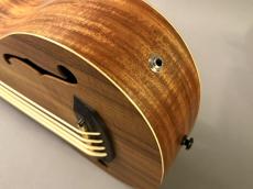 ELK ELKLE BASS_9