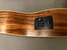 ELK ELKLE BASS_10