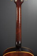Gibson J-160E_9