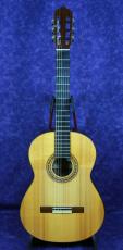 ＬＥＳＴＥＲ　ＤＥＶＯＥ FLAMENCO　GUITAR_6