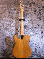 Fender Telecaster Thinline '74_2