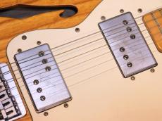 Fender Telecaster Thinline '74_6