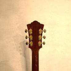 Guild D-55_5
