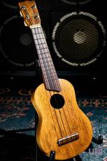 Kamaka HF-1_3