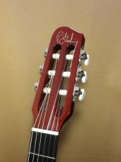 Godin Multiac Nylon Duet Ambiance_6