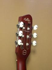Godin Multiac Nylon Duet Ambiance_7