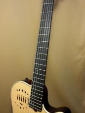 Godin Multiac Nylon Duet Ambiance_8
