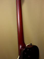 Godin Multiac Nylon Duet Ambiance_9