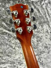 Gibson Historic Collection  1958 Les Paul Reissue Figured VOS  w/Push.Pull 【2011'USED】_5