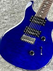Paul Reed Smith [PRS] 【秋の中古楽器セール】SE Custom24 7string -RoyalBlue-【2013's USED】【7弦ギター】【1階エレキ】_10