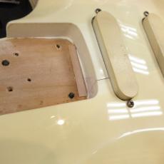 Edwards ES-100PR III_5