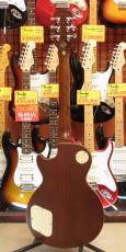 Epiphone Les Paul Standard_5