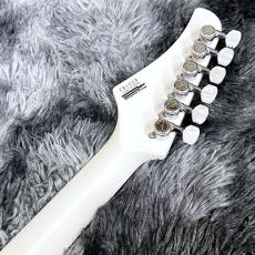 T's DST-Classic22 Wood PG Open-White 【サウンドメッセ2025 出展モデル】【日本製】_8