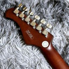 Bacchus BARON-JAZZ ABB -Global Series- 【特価】【高級感のあるアーチトップ!】_7