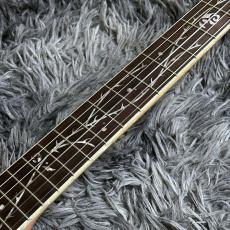 Ibanez TOD10N-PAF (Pearl Pink Flat) Tim Henson Signature 【特価】_5