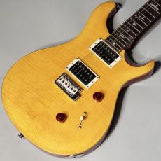Paul Reed Smith [PRS] SE CUSTOM24 Vintage Yellow【ポールリードスミス】_3
