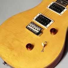Paul Reed Smith [PRS] SE CUSTOM24 Vintage Yellow【ポールリードスミス】_9
