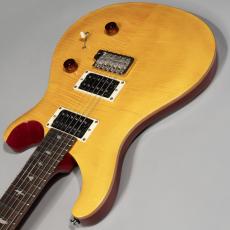 Paul Reed Smith [PRS] SE CUSTOM24 Vintage Yellow【ポールリードスミス】_10