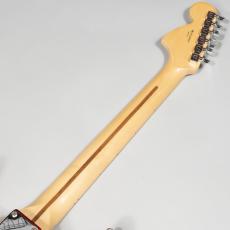 Fender American Special Stratocaster Maple neck Candy Apple Red【中古】_8