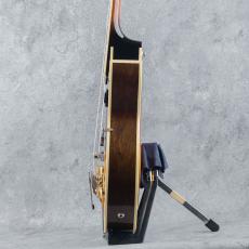 Archtop Tribute AT105 Jr Classic Sunburst / Charlie Christian Style Pickup_10