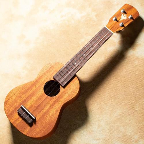 K.Yairi US-M1