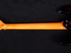 Aria Pro II DM-206 3TS_8
