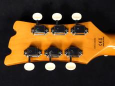 Aria Pro II DM-206 3TS_9