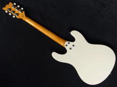 Aria Pro II DM-206　VW_6