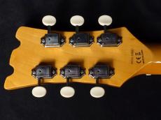 Aria Pro II DM-206　VW_9