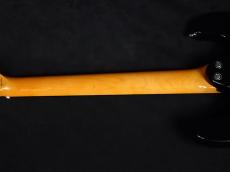 Aria Pro II DM-206 BK_8
