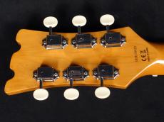 Aria Pro II DM-206 BK_9