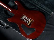 Paul Reed Smith [PRS] Custom 24 10Top Tortoise Shell 1997_8