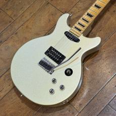 Journeyman / SG Crafts TKR-03 GLAY TAKURO Model