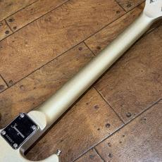 Journeyman / SG Crafts TKR-03 GLAY TAKURO Model_8