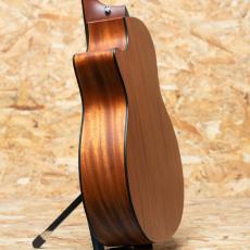 Taylor 314ce ES1 2004_5