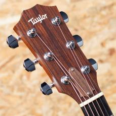 Taylor 314ce ES1 2004_8