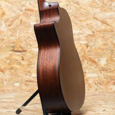 Taylor 314ce J-Spec_5